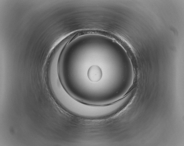 X0000116480925200912091357