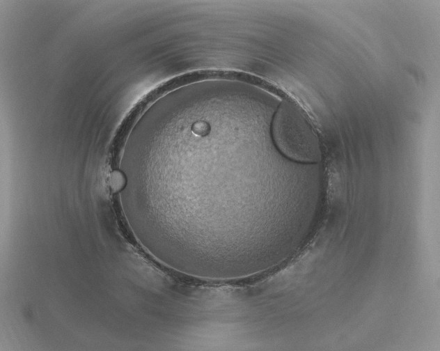 X0000116480926200912091357