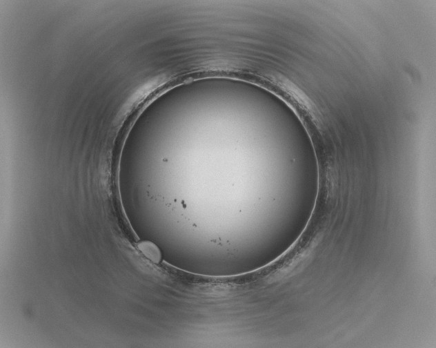 X0000116480930200912091357