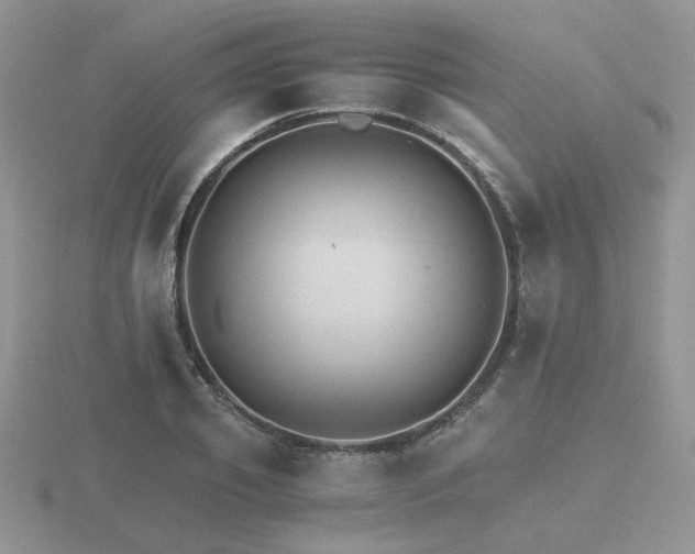 X0000116480933200912091357