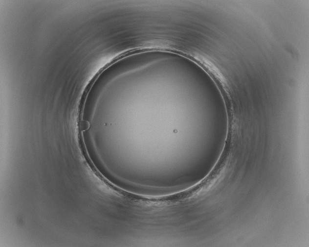 X0000116480941200912091357