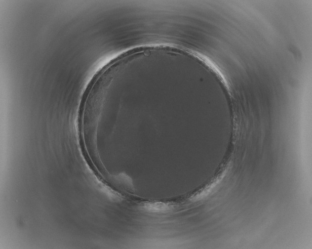 X0000116480943200912091357