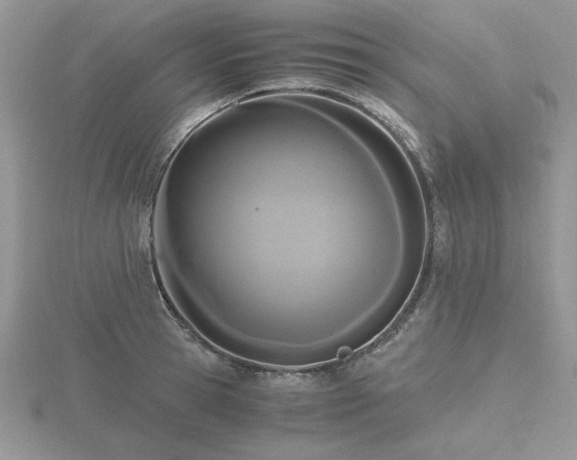 X0000116480945200912091357