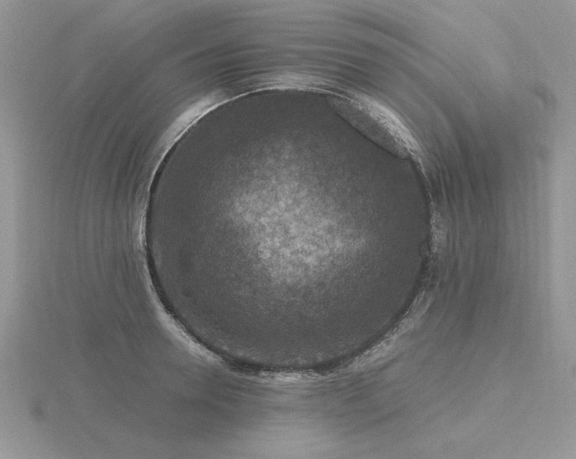 X0000116480946200912091357