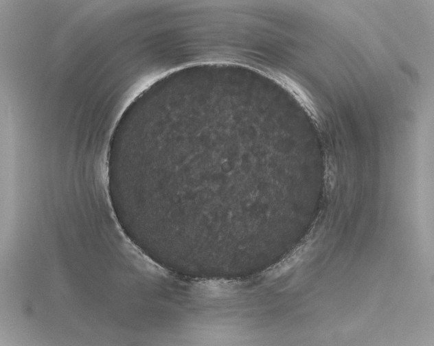 X0000116480950200912091357