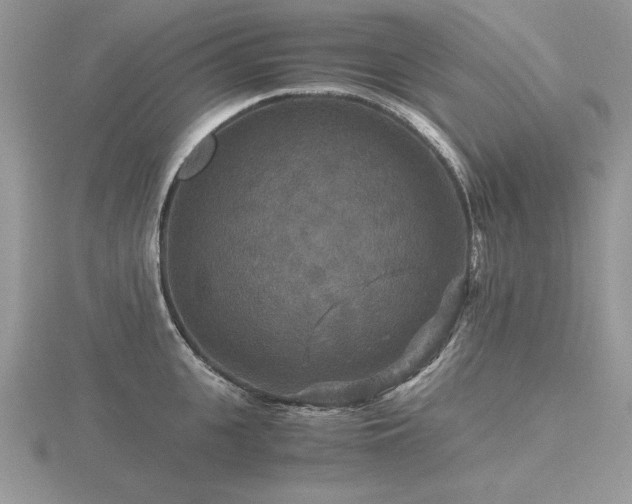 X0000116480951200912091357