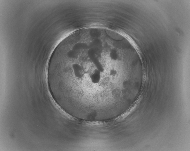 X0000116480957200912091357