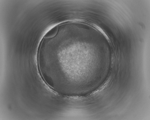 X0000116480959200912091357