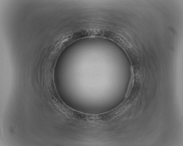 X0000116480961200912091357