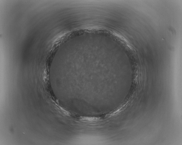 X0000116480966200912091357