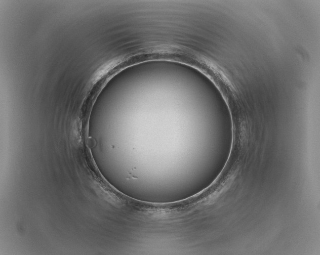 X0000116480970200912091357