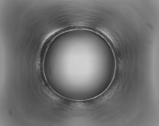 X0000116480971200912091357