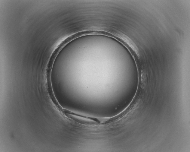 X0000116480972200912091356