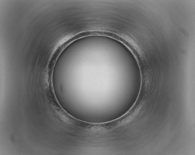 X0000116480974200912091356