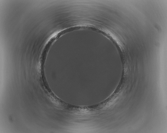 X0000116480975200912091356