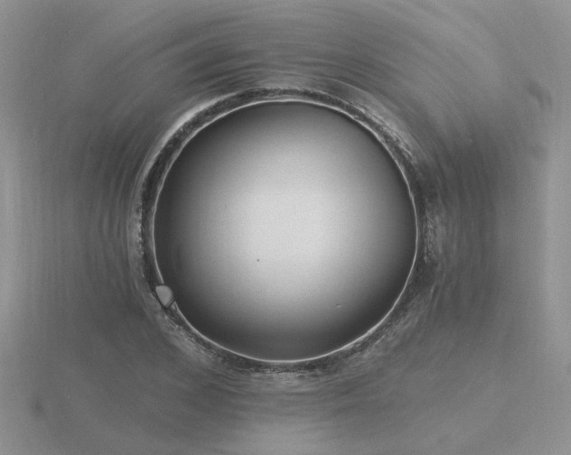 X0000116480976200912091356