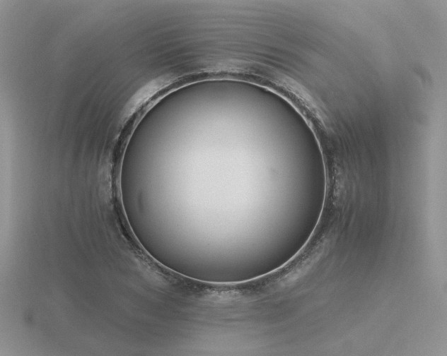 X0000116480978200912091356