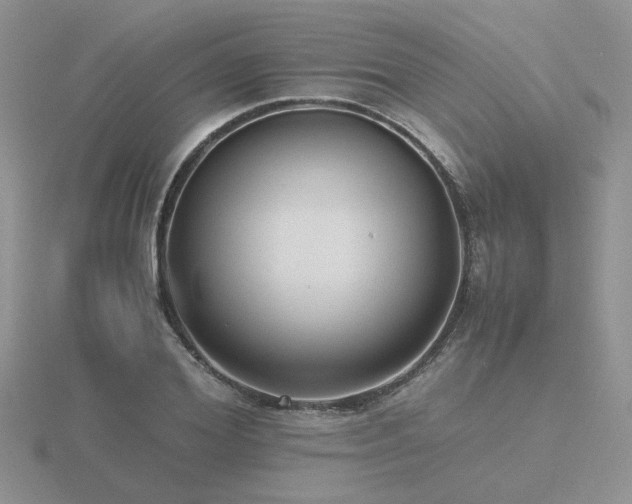 X0000116480980200912091356