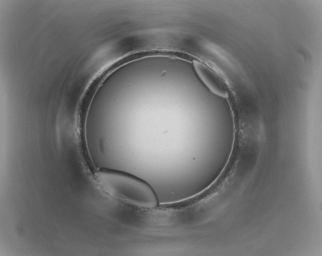 X0000116480981200912091356