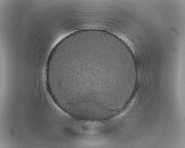 X0000116480983200912091356