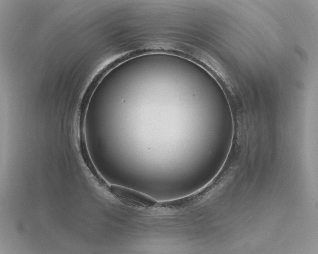 X0000116480984200912091356