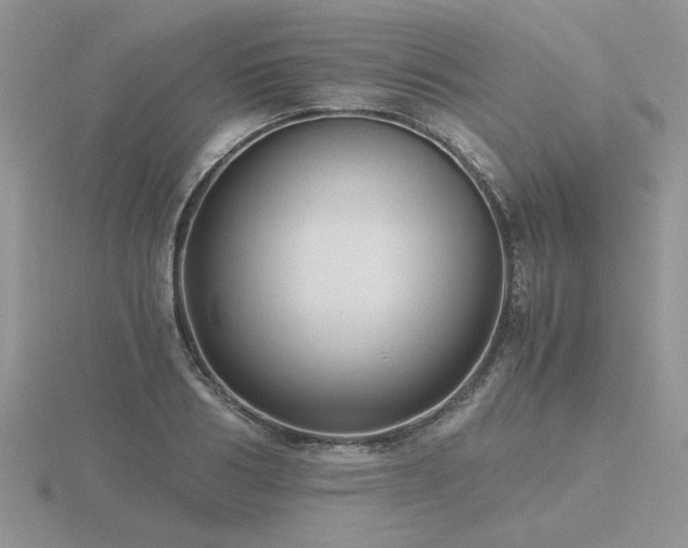 X0000116480986200912091356