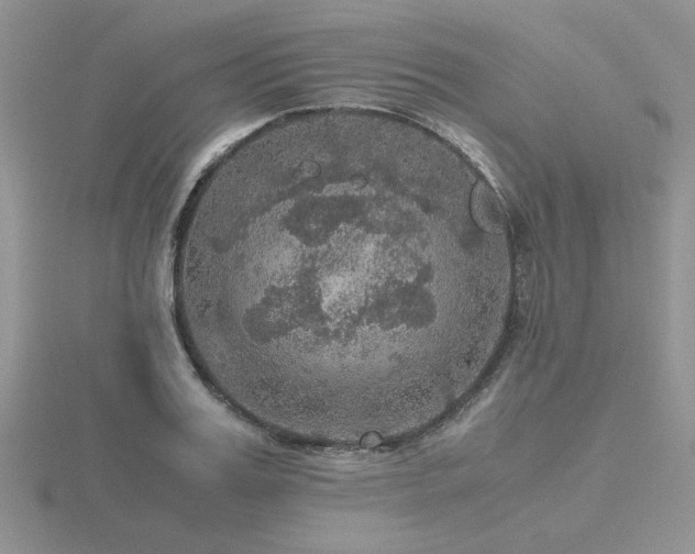 X0000116480987200912091356