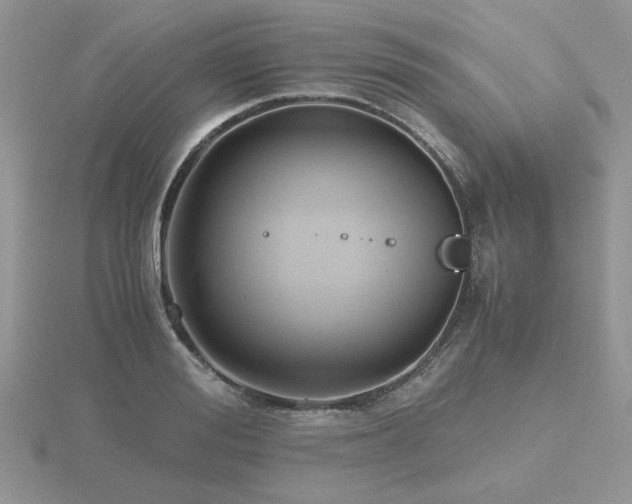 X0000116480988200912091356