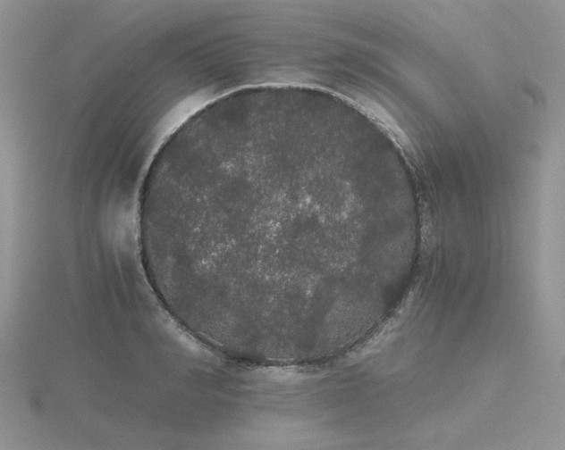 X0000116480990200912091356