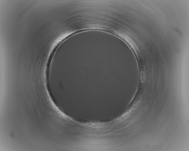 X0000116480995200912091356