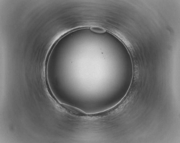 X0000116480996200912091356