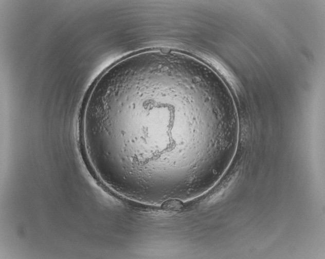 X0000116480999200912091356