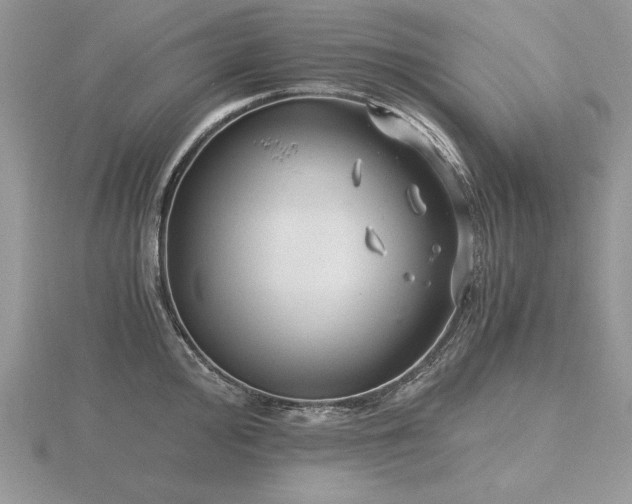 X0000116481000200912091356