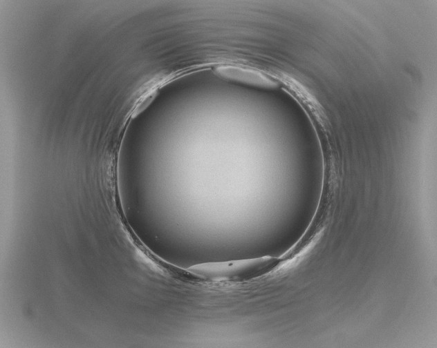 X0000116481001200912091356