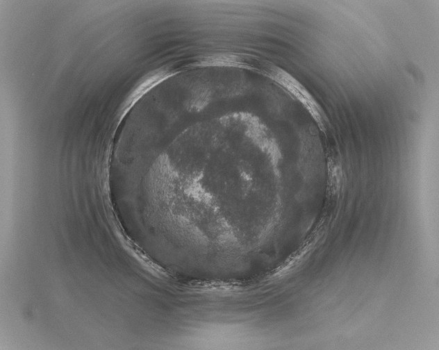 X0000116481002200912091356