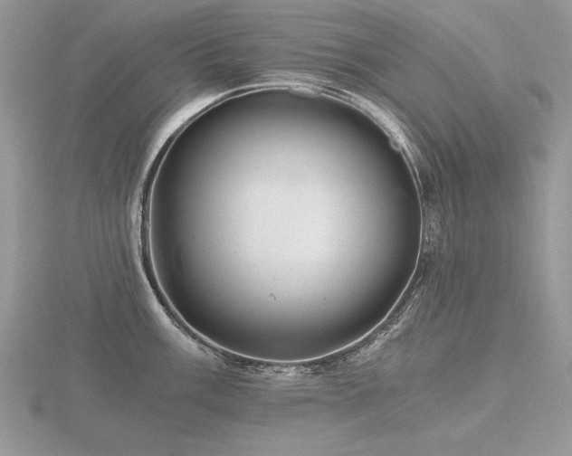 X0000116481003200912091356