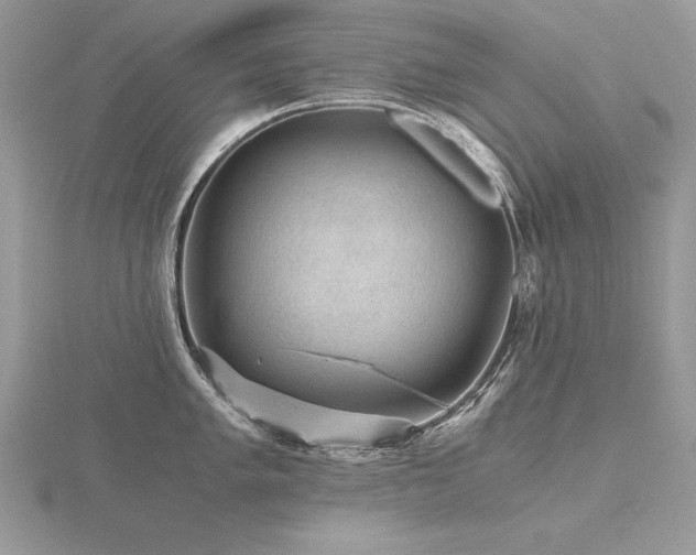 X0000116481005200912091356