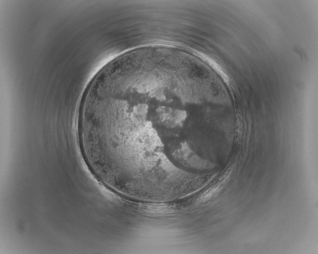 X0000116481007200912091356