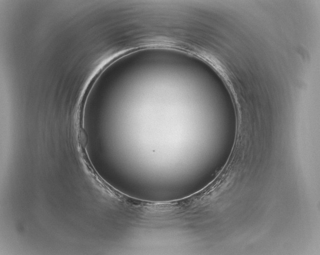 X0000116481008200912091356