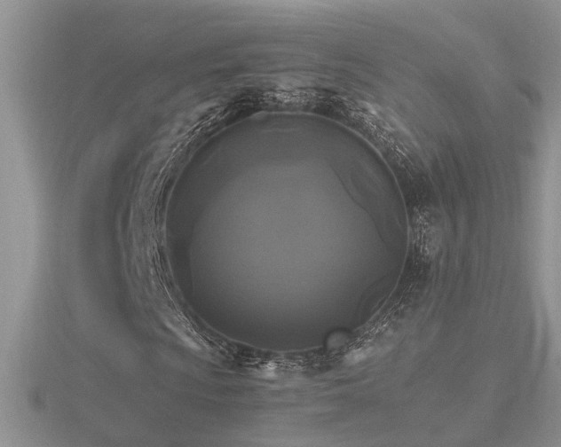 X0000116481009200912091355