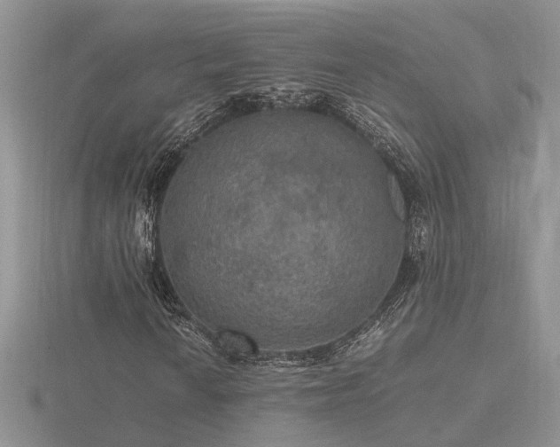 X0000116481010200912091355