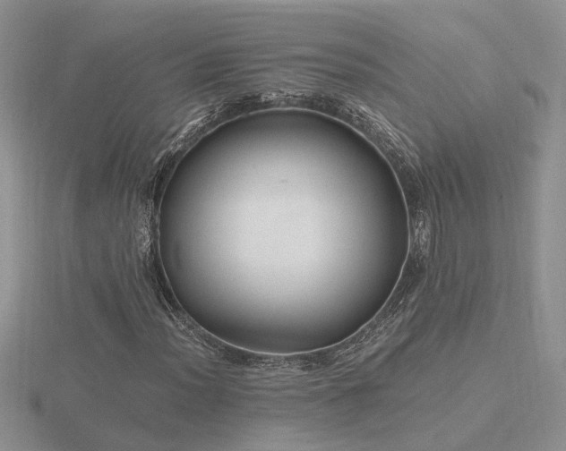 X0000116481012200912091355