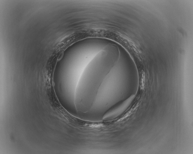 X0000116481013200912091355