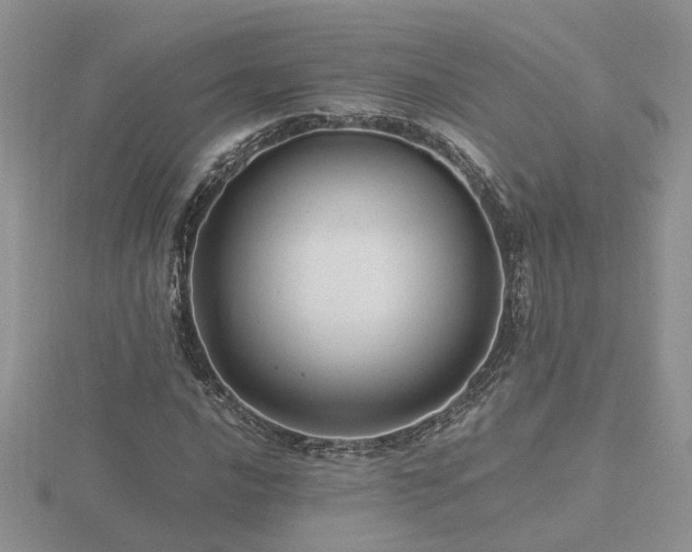 X0000116481016200912091356