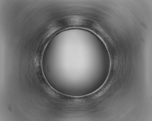 X0000116481017200912091356