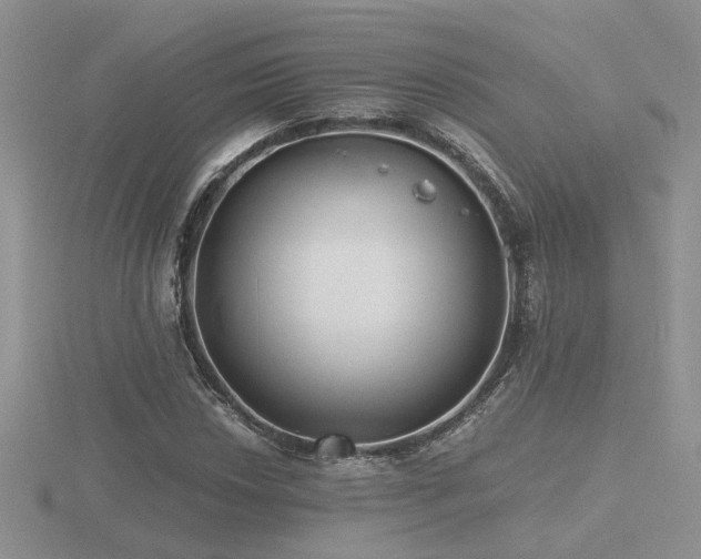 X0000116481018200912091356