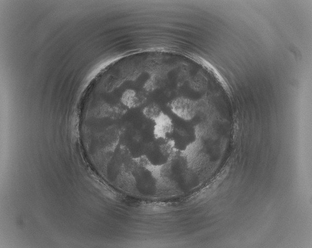 X0000116481019200912091356