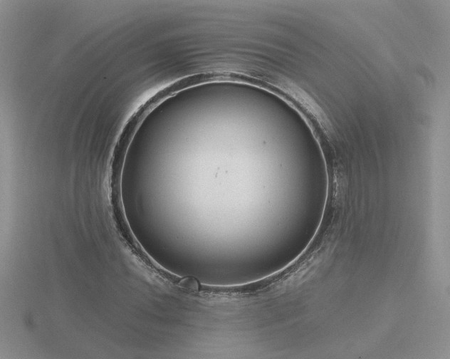 X0000116481020200912091356