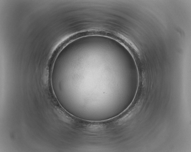 X0000116481021200912091356