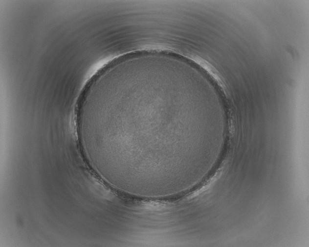 X0000116481022200912091356